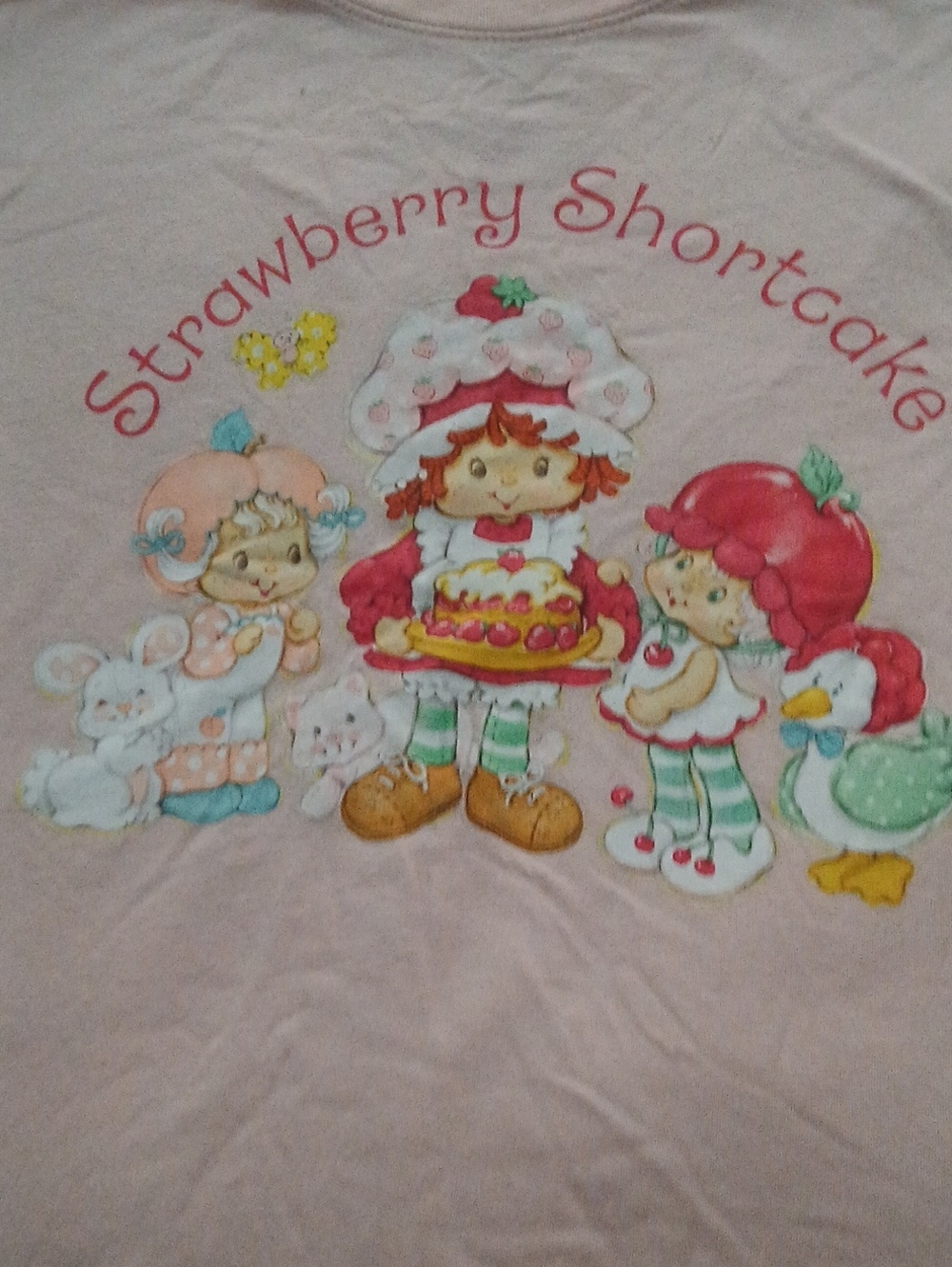 Womens Size Medium Strawberry Shortcake Tee Preowned
